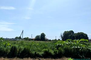 ділянка за адресою с. Черніїв, 