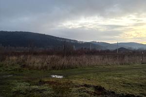 ділянка за адресою с. Невицьке, Парадна