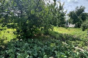 будинок за адресою Центральна вул., 86