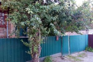будинок за адресою Чигиринська вул., 111