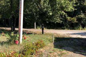 участок по адресу с. Орловщина, провулок Озерний