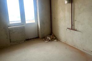 квартира за адресою Пирогова вул., 5