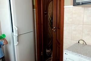 квартира по адресу Романа Шухевича ул. (Гастелло), 11а