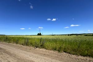 ділянка за адресою Підгорного, 20
