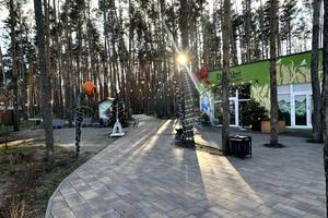 будинок за адресою смт. Гостомель, Мальовничий пров., 12/8