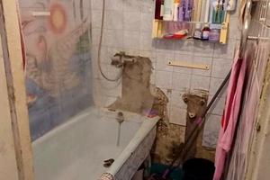 квартира за адресою Тракторобудівників просп., 77