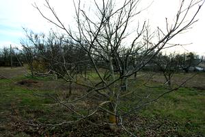будинок за адресою Хутірська, 52