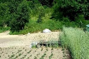 будинок за адресою Суворова вул.