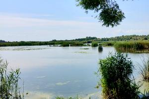 будинок за адресою центральна