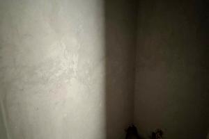 квартира за адресою Бельведерська вул., 23