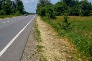 ділянка за адресою с. Черніїв, 