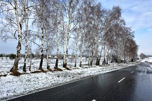 ділянка за адресою Сагайдачного