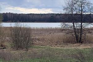 ділянка за адресою Річкова