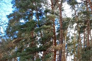 будинок за адресою Центральна, 1