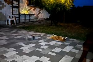 будинок за адресою Лоцманська вул.