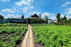 будинок за адресою Гетьмана Івана Мазепи вул.