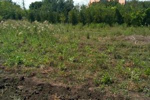 будинок за адресою Ніколаївска