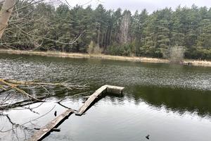 ділянка за адресою с. Кімната, Зелена