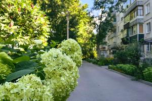 квартира по адресу Котляревского ул., 2/7
