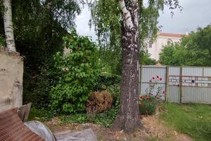 дом по адресу пгт. Олыка, вул. Шевченка, 6а