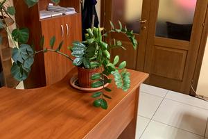 комерційна за адресою Михайлівська пл., 1