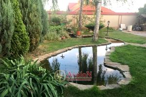 будинок за адресою Соборна вул., 20