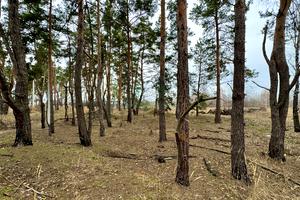 участок по адресу Левка Симиренка, 61