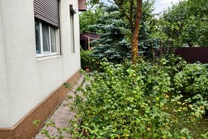 дом по адресу Озерна10, 72