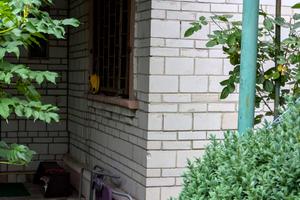 дом по адресу СТ Новатор