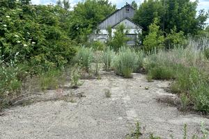 коммерческая по адресу Миру, 7