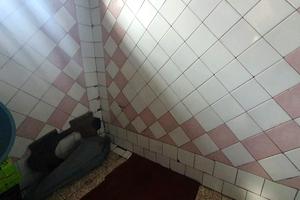 дом по адресу Заречная ул., 65