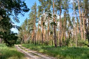 ділянка за адресою Ватутіна вул.