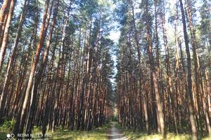 будинок за адресою Мирна