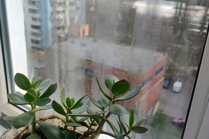 квартира по адресу Князя Владимира Великого просп., 131