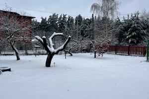 будинок за адресою с. Малютянка, Ботанічна вул., 3