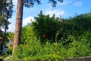 ділянка за адресою Мечникова вул., 6 