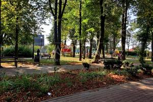 будинок за адресою Сильвестра Косова вул. (Нова)