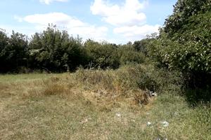 будинок за адресою Островського
