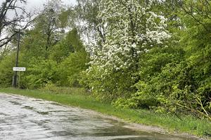 ділянка за адресою с. Марківці, 