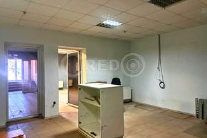комерційна за адресою Володимира Великого вул. (Мелешкіна), 9