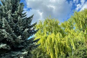 будинок за адресою Зарічна