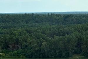 квартира за адресою Шпаковського, 25