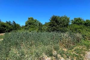 участок по адресу Карпатська, 3