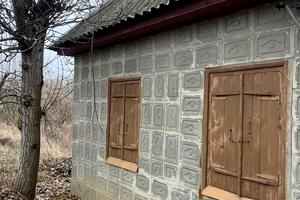 будинок за адресою с. Липове, Центральна, 19
