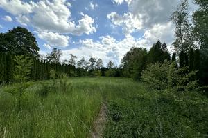 ділянка за адресою с. Старі Кривотули, 