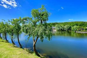 будинок за адресою с. Підгірці, Київська вул.