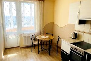 квартира за адресою Петра Панча вул., 18б