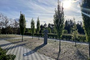 ділянка за адресою Лугова