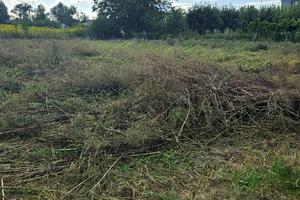 участок по адресу дружби/ гоголівська