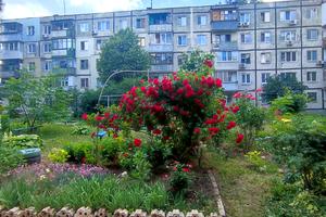 квартира за адресою Пр.Свободи, 205